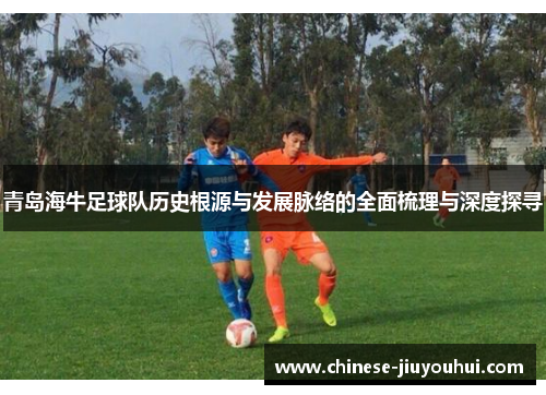 青岛海牛足球队历史根源与发展脉络的全面梳理与深度探寻