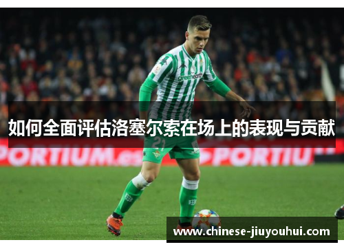 如何全面评估洛塞尔索在场上的表现与贡献