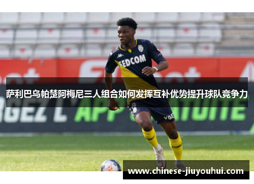 萨利巴乌帕楚阿梅尼三人组合如何发挥互补优势提升球队竞争力 萨利巴乌帕楚阿梅尼三人组合如何发挥互补优势提升球队竞争力
