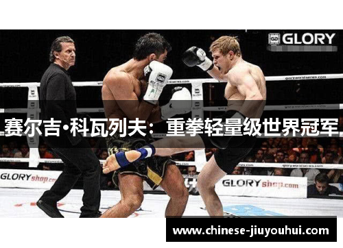 赛尔吉·科瓦列夫:重拳轻量级世界冠军 赛尔吉·科瓦列夫:重拳轻量级世界冠军