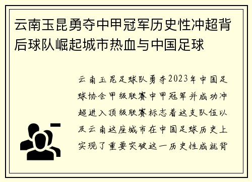云南玉昆勇夺中甲冠军历史性冲超背后球队崛起城市热血与中国足球 云南玉昆勇夺中甲冠军历史性冲超背后球队崛起城市热血与中国足球